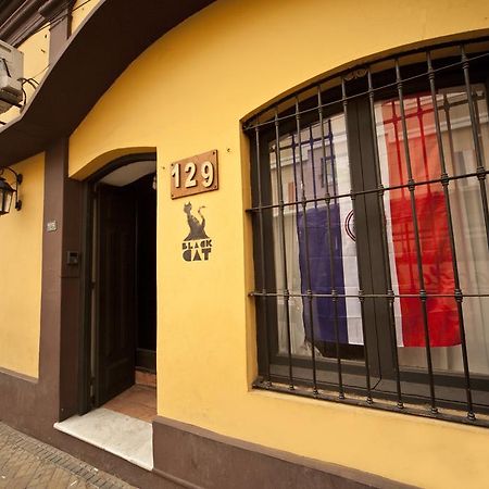 Black Cat Hostel Asunción Esterno foto