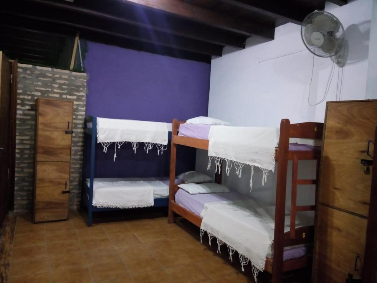 Black Cat Hostel Asunción Esterno foto